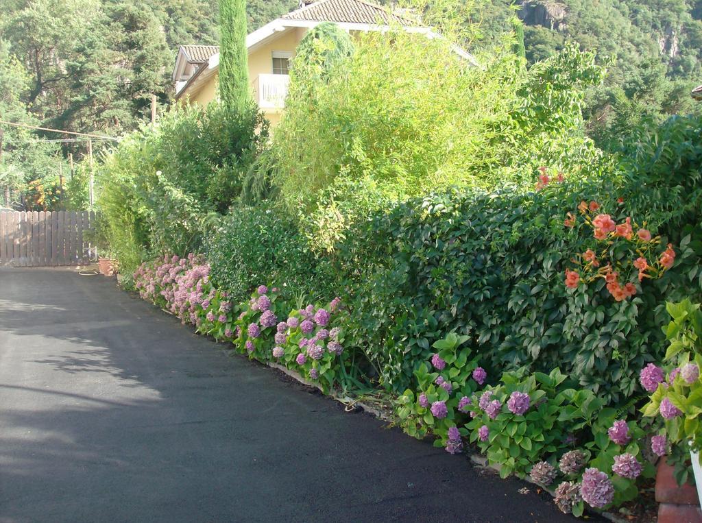 ホテル Gasthaus Pension Flora Ora / Auer エクステリア 写真